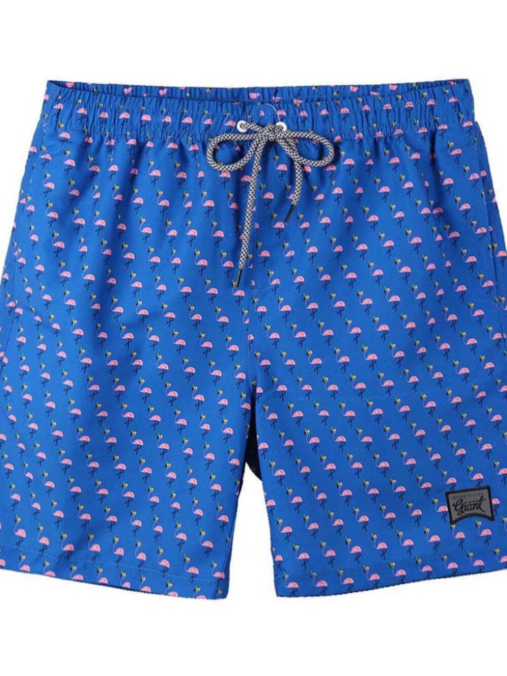 Boys' Swim Trunks Quick Dry Swimsuit with Liner
